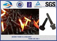 Railway sleeper fixing screws Black Oxide ISO 24 Dia 160 Length SS8